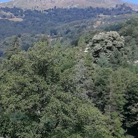 Belle Epoque Graglia